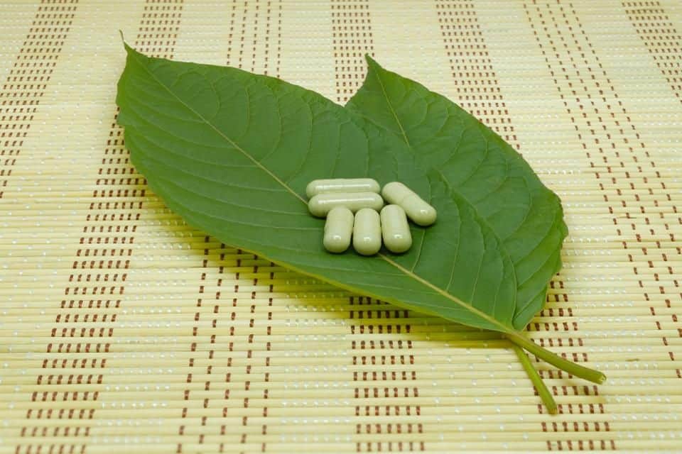 Is Kratom Legal in Georgia?